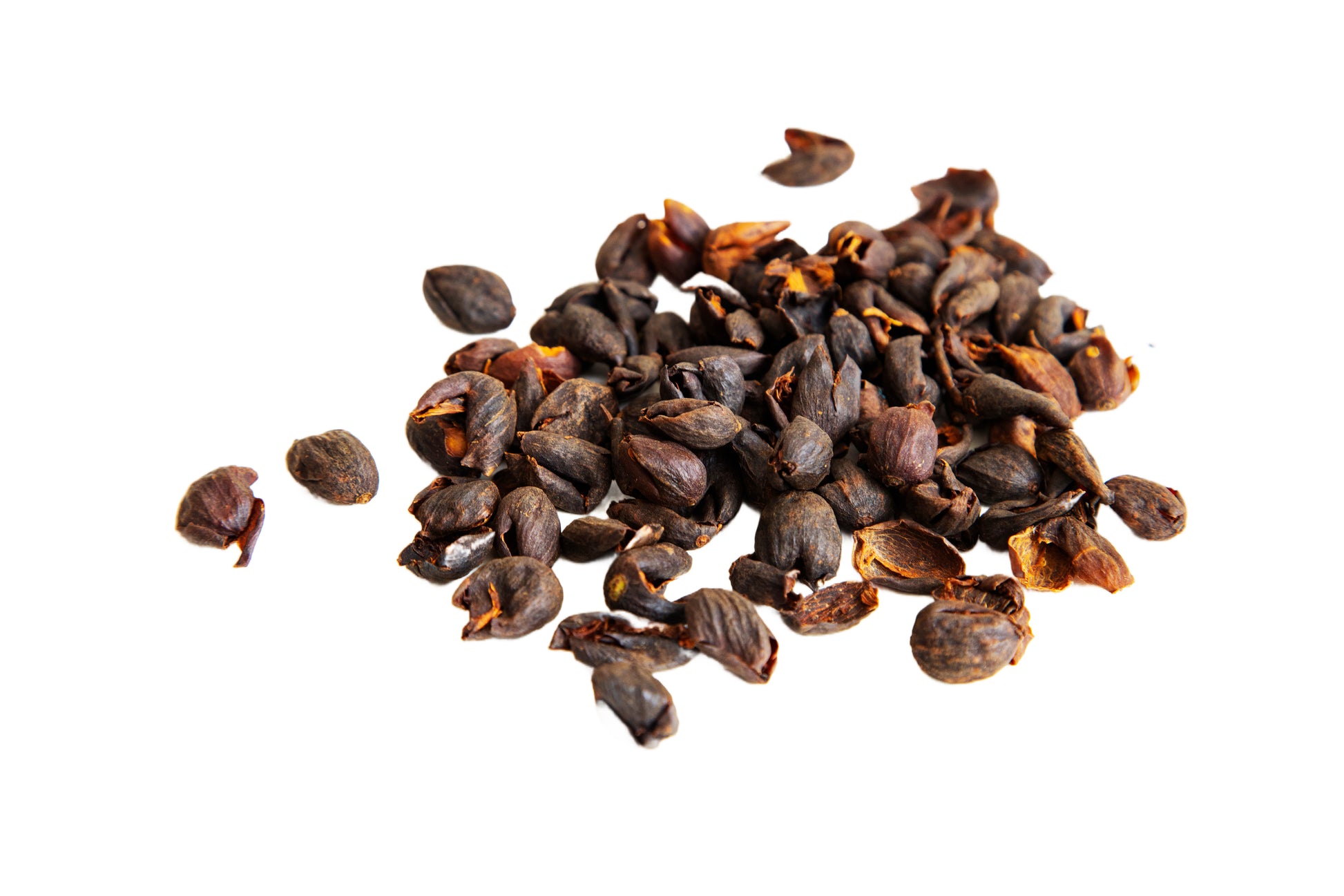 Harbpress cacao cascara